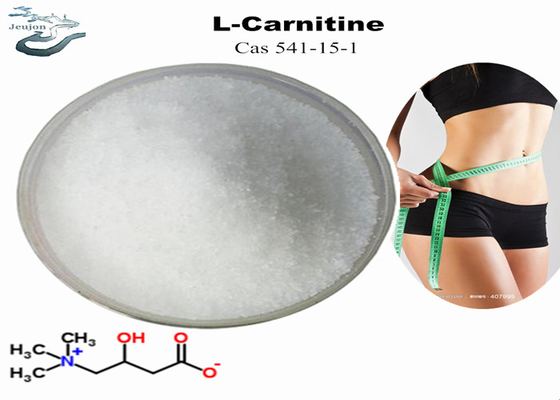 Καλλυντικά Πρωτεΐνες R L Καρνιτίνη για απώλεια βάρους CAS 541-15-1