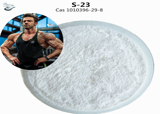 Ακατέργαστο HPLC S23 Gym Powder CAS 1010396-29-8 Sarm S-23 Συμπλήρωμα για την οικοδόμηση μυών