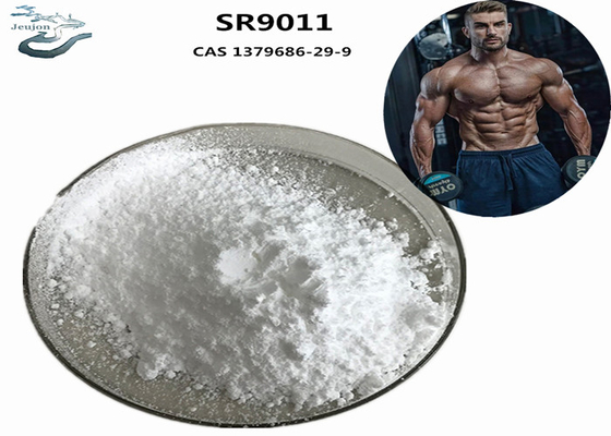 Γυμναστήριο σκόνη SARM Συμπλήρωμα Bodybuilding SR9011 CAS 1379686-29-9 Για την οικοδόμηση των μυών