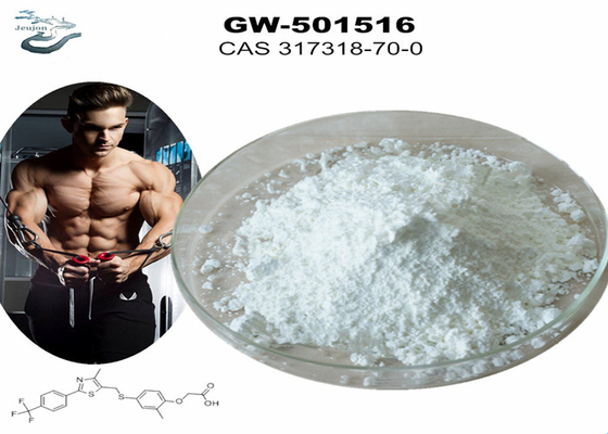 GW 501516 GSK-516 Σαρμς γυμναστήριο σκόνη Μαστούργημα CAS 317318-70-0