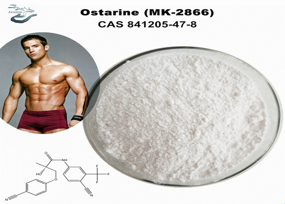 Ostarine Enobosarm MK 2866 Σάρμες σκόνη για την αύξηση της μυϊκής μάζας σκόνη γυμναστήριο