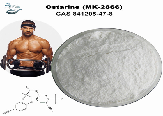 Πόντος γυμναστικής CAS 841205-47-8 Raw Sarm Enobosarm Mk 2866 Ostarine Enobosarm Για απώλεια βάρους